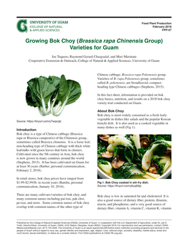 Growing Bok Choy (Brassica Rapa Chinensis Group) Varieties for Guam
