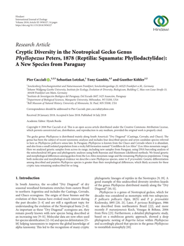 Cryptic Diversity in the Neotropical Gecko Genus Phyllopezus Peters, 1878 (Reptilia: Squamata: Phyllodactylidae): a New Species from Paraguay