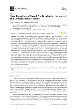 Stem Branching of Cycad Plants Informs Horticulture and Conservation Decisions