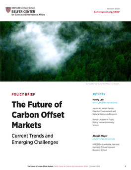 The Future of Carbon Offset Markets | Belfer Center for Science and International Affairs | October 2020 1 Overview