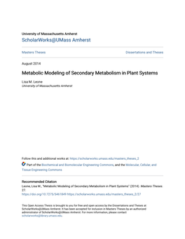 Metabolic Modeling of Secondary Metabolism in Plant Systems