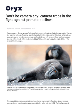 Camera Traps in the Fight Against Primate Declines