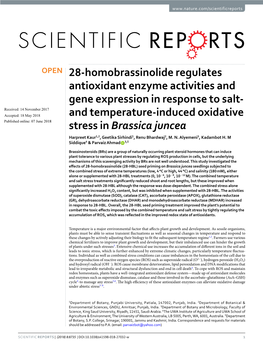 28-Homobrassinolide Regulates Antioxidant Enzyme