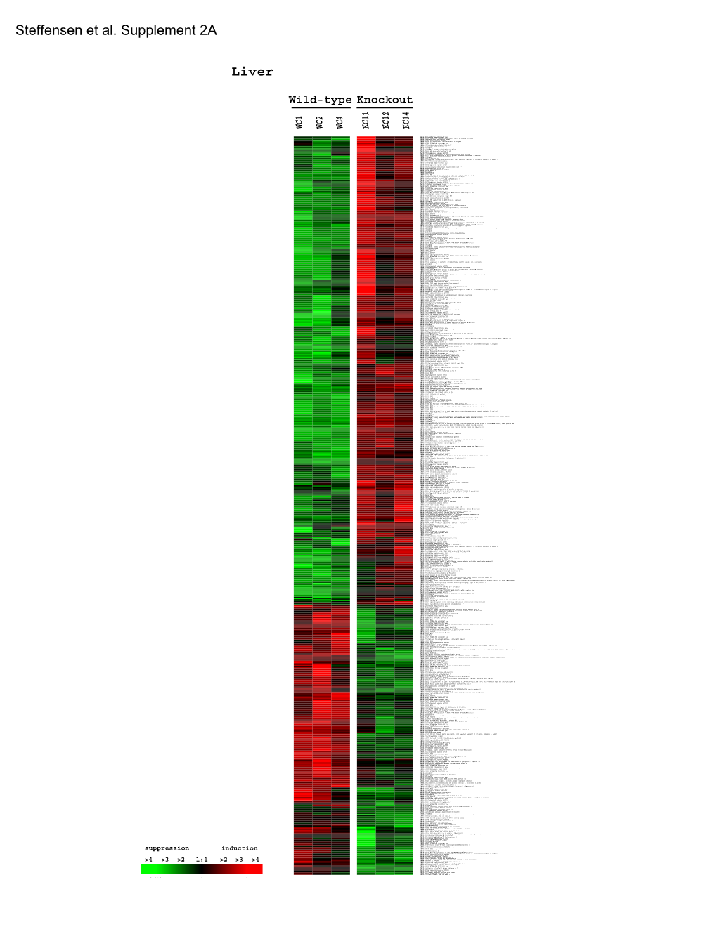 Steffensen Et Al. Supplement 2A