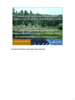 Stormwater and Water Quality