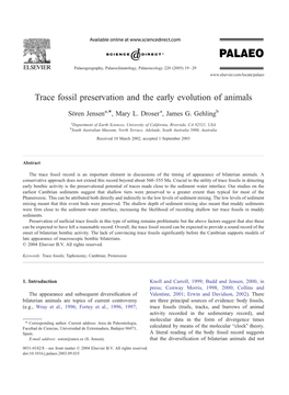 Trace Fossil Preservation and the Early Evolution of Animals