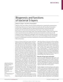 Biogenesis and Functions of Bacterial S-Layers