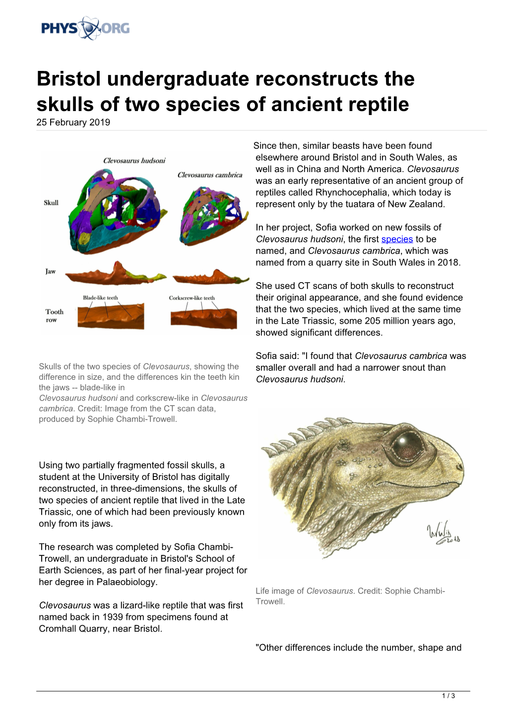 Bristol Undergraduate Reconstructs the Skulls of Two Species of Ancient Reptile 25 February 2019