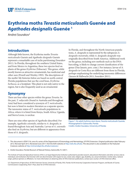 Erythrina Mothsterastia Meticulosalis Guenée and Agathodes Designalis