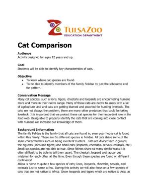 Cat Comparison