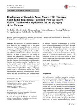 Development of Tripedalia Binata Moore, 1988 (Cubozoa