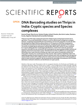 DNA Barcoding Studies on Thrips in India: Cryptic Species And