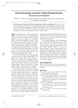 First Host Species Record for Yellow-Throated Cuckoo Chrysococcyx Flavigularis Michael S