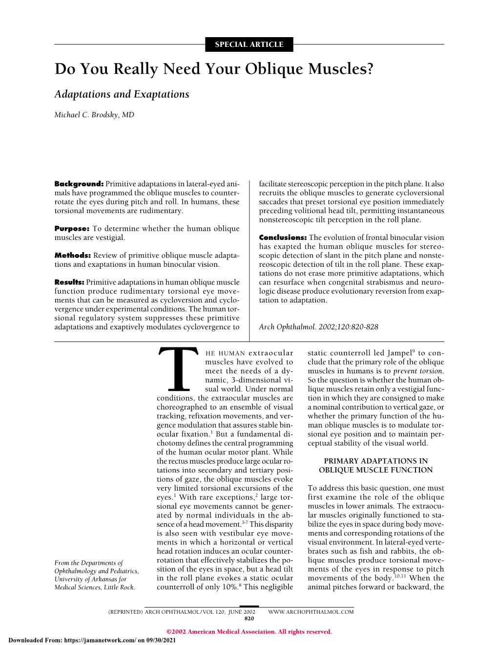 Do You Really Need Your Oblique Muscles? Adaptations and Exaptations