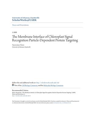 The Membrane Interface of Chloroplast Signal Recognition Particle-Dependent Protein Targeting