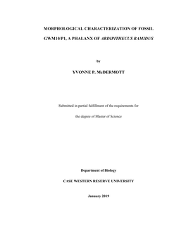 Y.P. Mcdermott Thesis