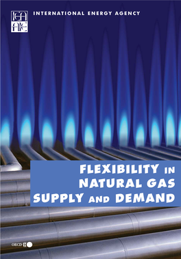 Flexibility in Natural Gas Supply and Demand International Energy Agency