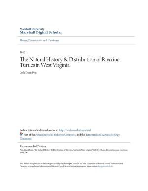 The Natural History & Distribution of Riverine Turtles in West Virginia