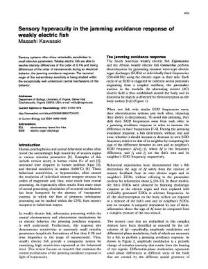 Sensory Hyperacuity in the Jamming Avoidance Response of Weakly Electric Fish Masashi Kawasaki