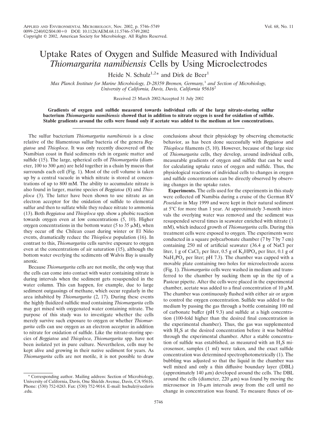 Thiomargarita Namibiensis Cells by Using Microelectrodes Heide N