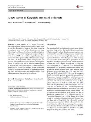 A New Species of Exophiala Associated with Roots