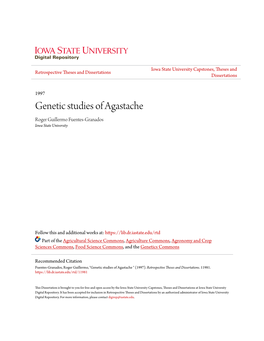 Genetic Studies of Agastache Roger Guillermo Fuentes-Granados Iowa State University