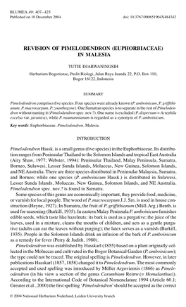 Revision of Pimelodendron (Euphorbiaceae) in Malesia