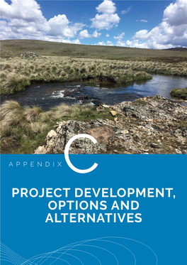 Project Development, Options and Alternatives