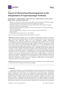 Impact of Chromosomal Rearrangements on the Interpretation of Lupin Karyotype Evolution