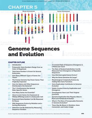 Chapter 5 Genome Sequences and Evolution