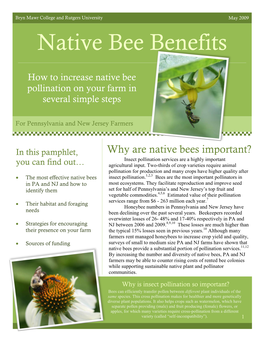 Native Bee Benefits