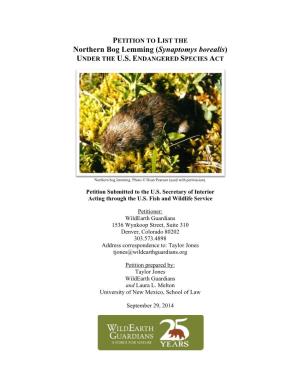 Northern Bog Lemming (Synaptomys Borealis) UNDER the U.S