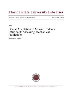 Dental Adaptation in Murine Rodents (Muridae): Assessing Mechanical Predictions Stephanie A