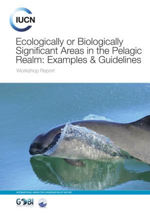 Ecologically Or Biologically Significant Areas in the Pelagic