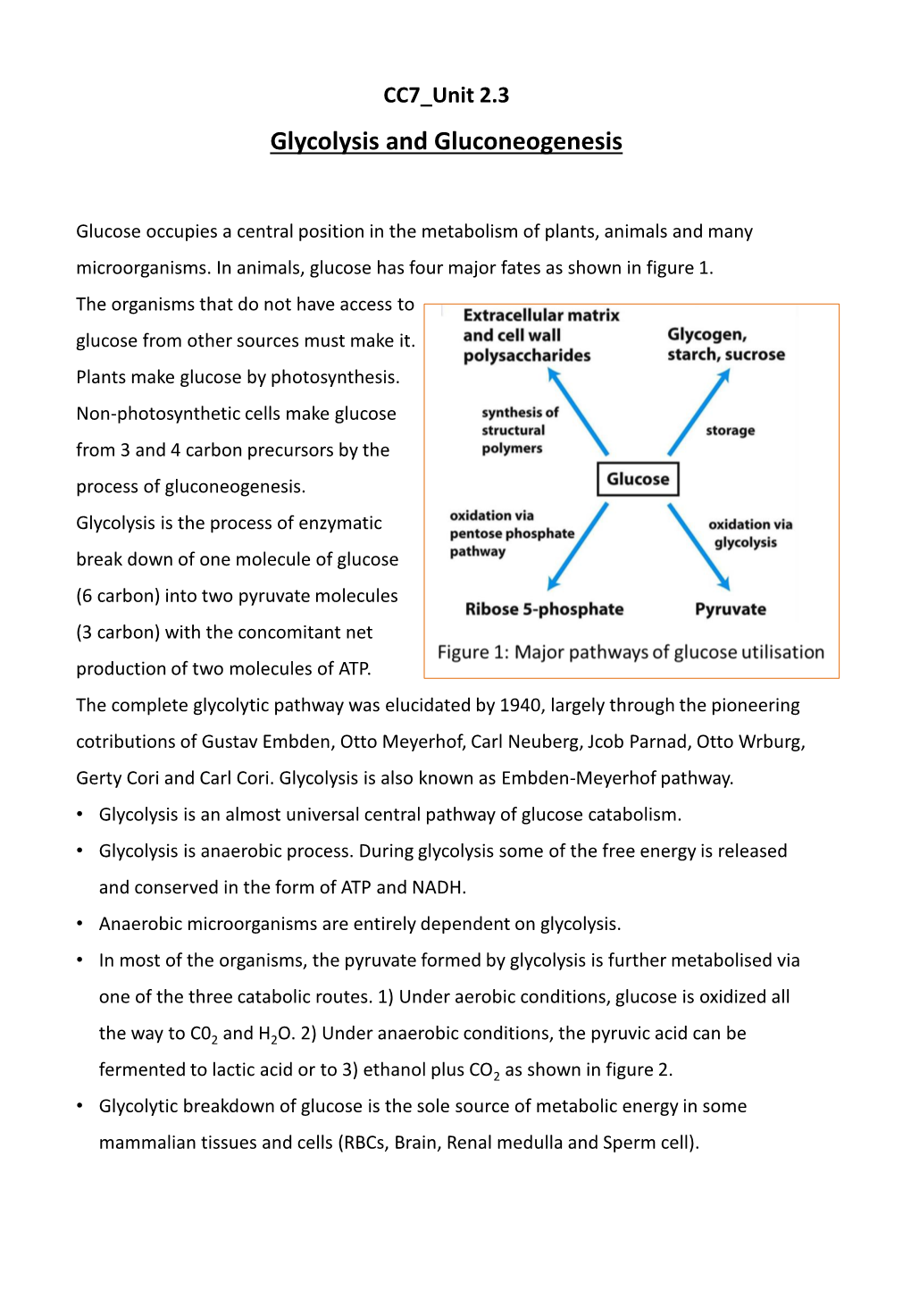 Glycolysis and Gluconeogenesis