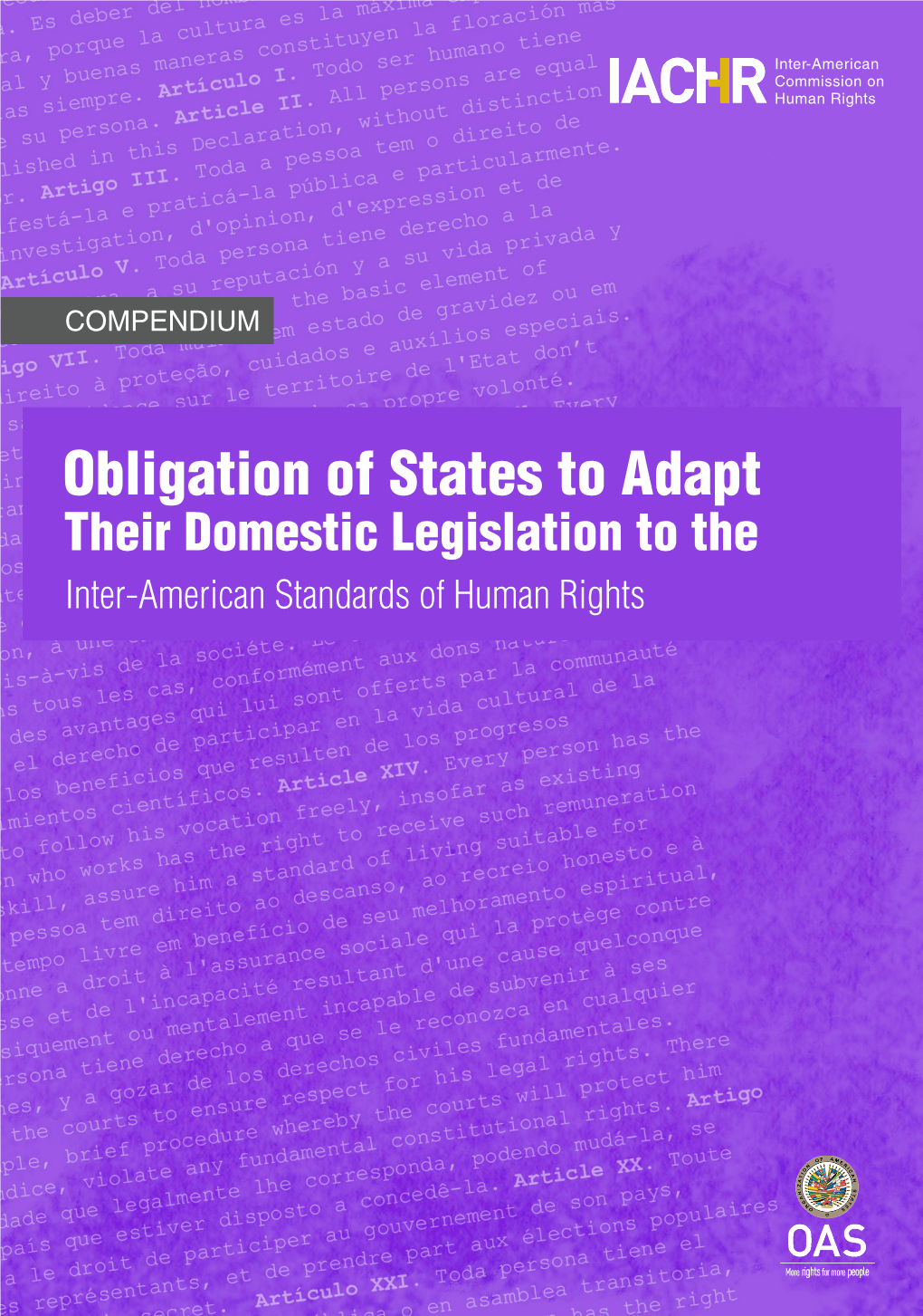 Obligation of States to Adapt Their Domestic Legislation to the Inter-American Standards of Human Rights