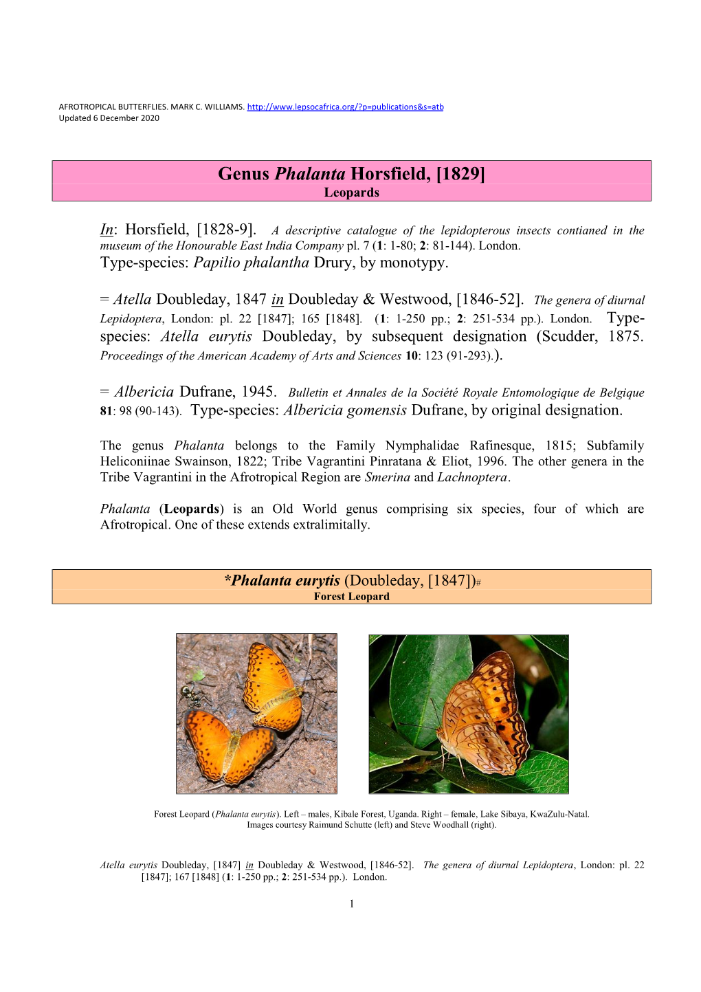 348 Genus Phalanta Horsfield