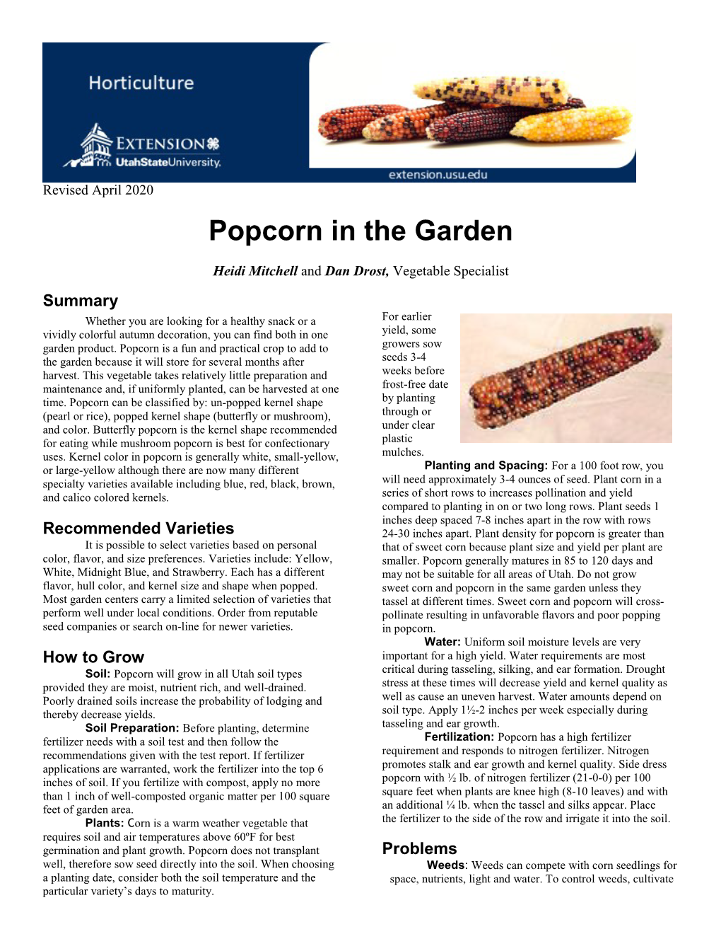 Popcorn in the Garden