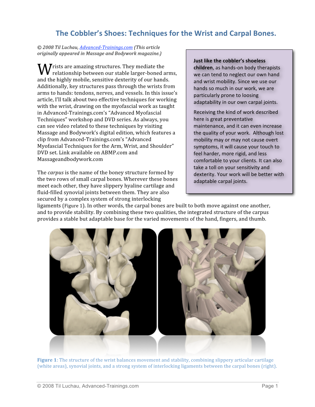 The Cobbler's Shoes: Techniques for the Wrist and Carpal Bones