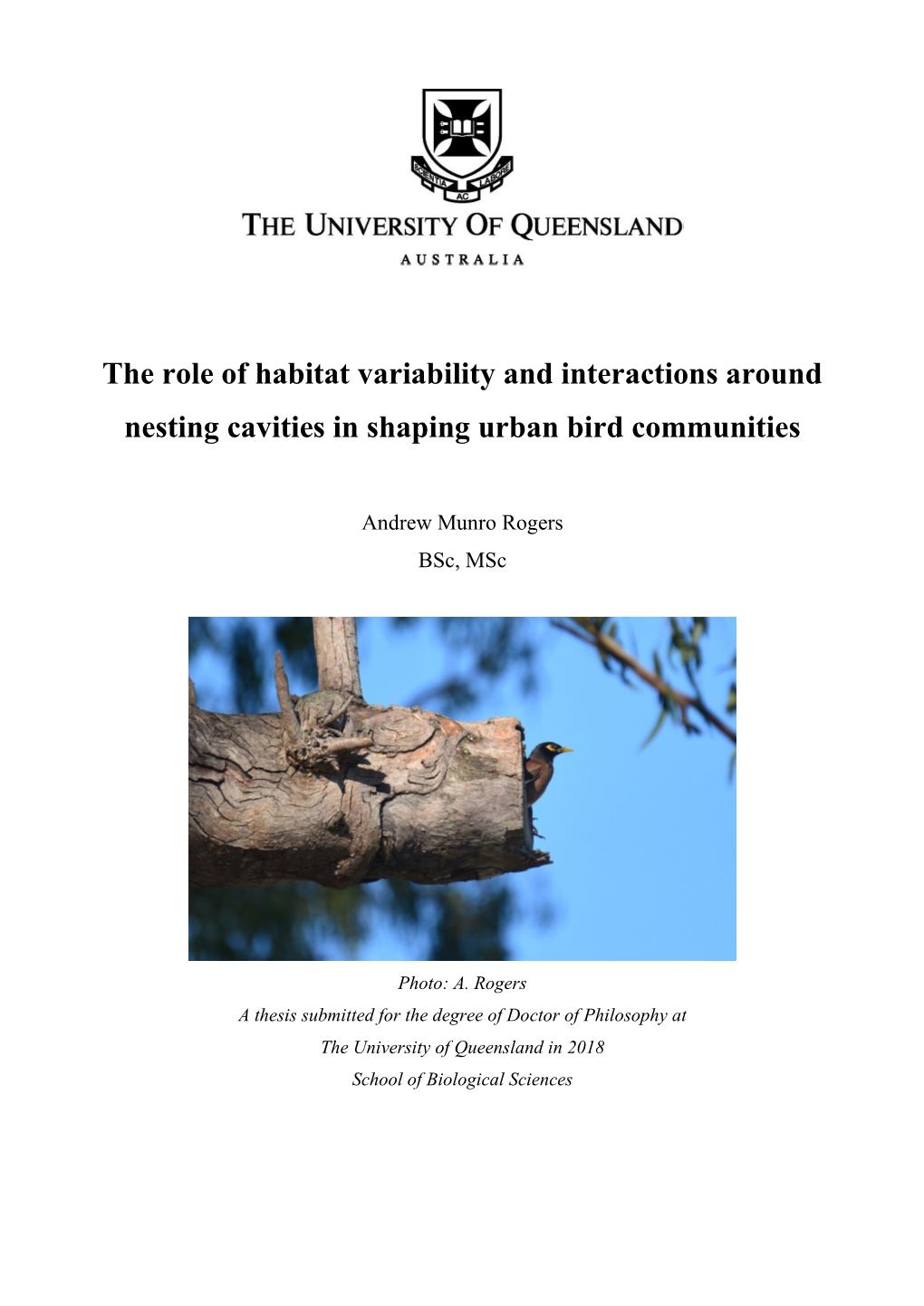 The Role of Habitat Variability and Interactions Around Nesting Cavities in Shaping Urban Bird Communities