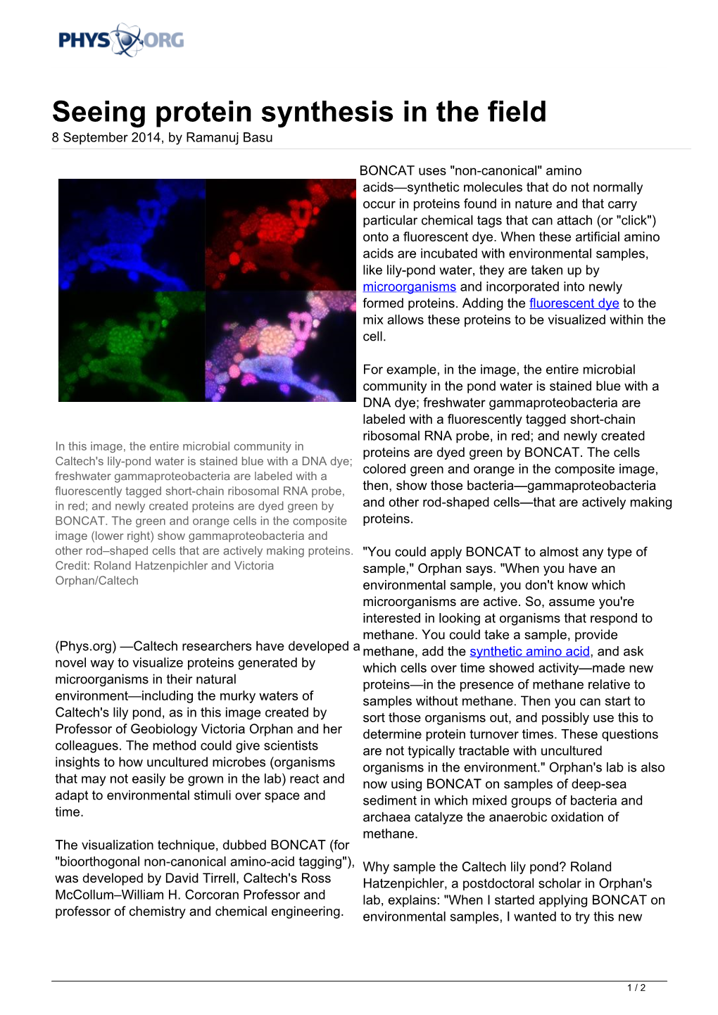 Seeing Protein Synthesis in the Field 8 September 2014, by Ramanuj Basu