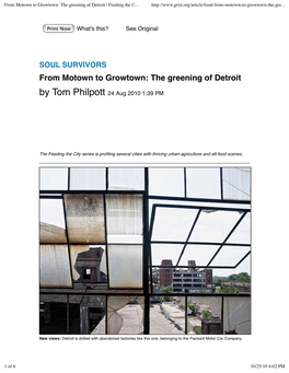 From Motown to Growtown: the Greening of Detroit | Feeding the City | Grist