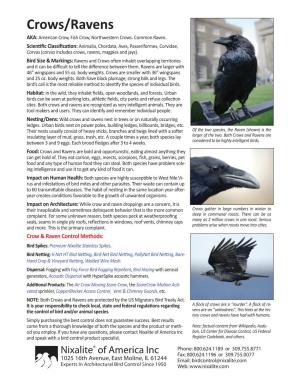 Crows/Ravens AKA: American Crow, Fish Crow, Northwestern Crows