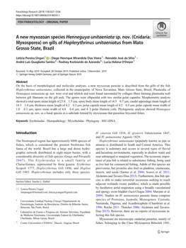 A New Myxozoan Species Henneguya Unitaeniata Sp. Nov. (Cnidaria