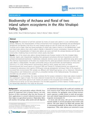 Biodiversity of Archaea and Floral of Two Inland Saltern Ecosystems In