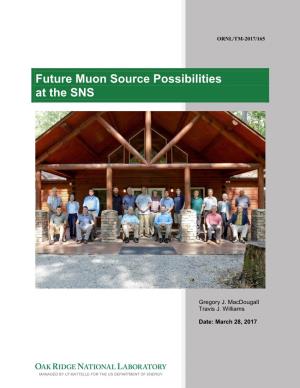 Future Muon Source Possibilities at the SNS