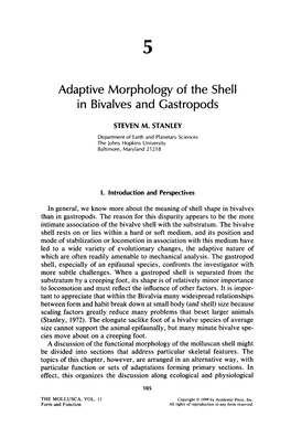 Adaptive Morphology of the Shell in Bivalves and Gastropods