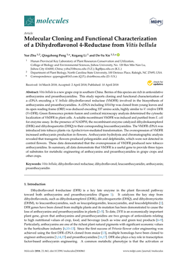 Molecular Cloning and Functional Characterization of a Dihydroﬂavonol 4-Reductase from Vitis Bellula