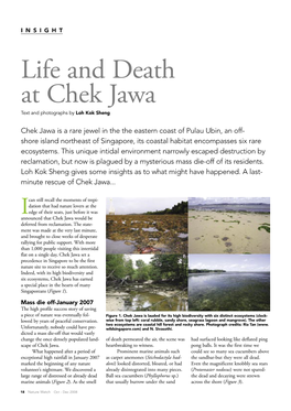 Life and Death at Chek Jawa Text and Photographs by Loh Kok Sheng