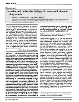 Genetics and Molecular Biology of Carotenoid Pigment Biosynthesis